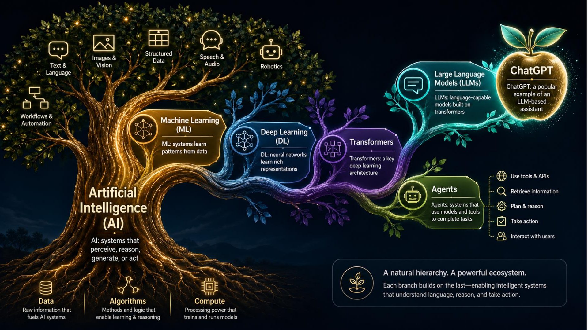 Illustrated AI tree connecting machine learning, deep learning, transformers, agents, and LLMs